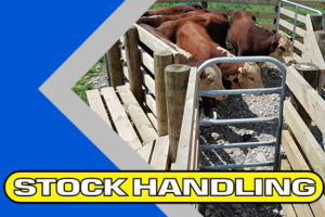 Stock Handling Equipment