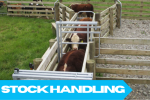 Stock Handling Equipment