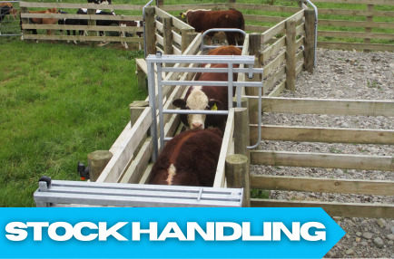 Stock Handling
